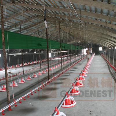 China Farms Pan Feeding System For Poultry Broiler Feeding System Chicken Feeding Line for sale