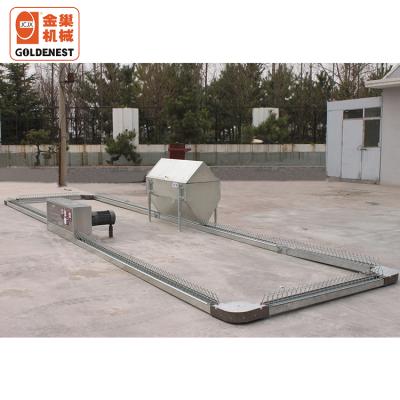 China Female Chicken Hen Farms /laying Breeder Use Chain Feeding Line System for sale