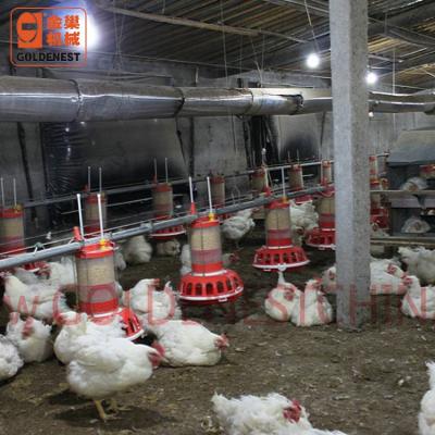 China Chicken House Poultry Farming Breeding Equipment Male Breeder Regulating Cylinder Pan Feeding Line for sale