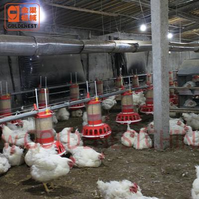 China Chicken House Poultry Cylinder Regulator Tray Feeding/Male Breeder/Layer Automatic Feeding Equipment for sale