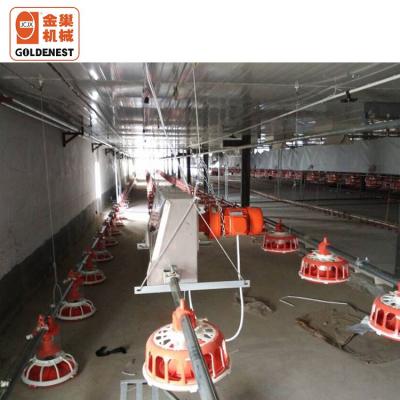 China Farms Automatic Pan Feeder for Breeder/System Poultry Chicken Farm Equipment for sale