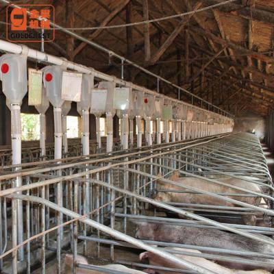 China Farms Feed Delivery System/Feed Auger Chain For Pig Farm for sale