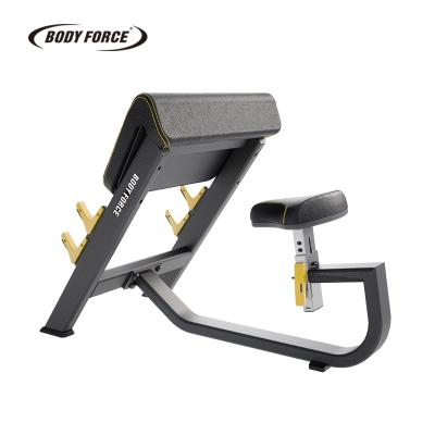 China Eco-Friendly Seated Preacher Loop Exercise Equipment BODY STRENGTH for sale