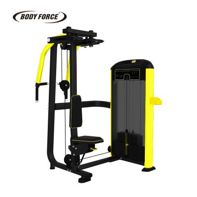 China Steel Tube Q235 PEC Fly Gym Fitness BODY STRENGTH for sale