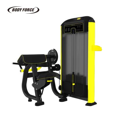 China Q235 Steel Tube Biceps Arm Curl Gym Fitness BODY STRENGTH for sale