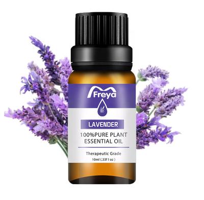 China 100% pure essential oil aromatherapy fragrance perfume herbal certified lavender essential oil for sale