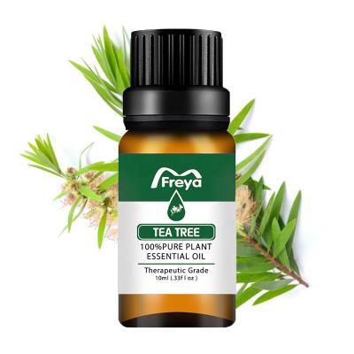 China 100% pure essential oil Pure Natural Tea Tree Essential Oil Aromatherapy Tea Tree oil essential for sale