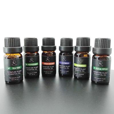 China 6 aromatherapy 10ML Organic Natural private label 100% Pure Essential Oil set for sale