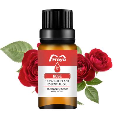 China 100% Pure Bulk Rose Oil Essential Oil Massage Essential Shower Wholesale Aroma Skin Care for sale