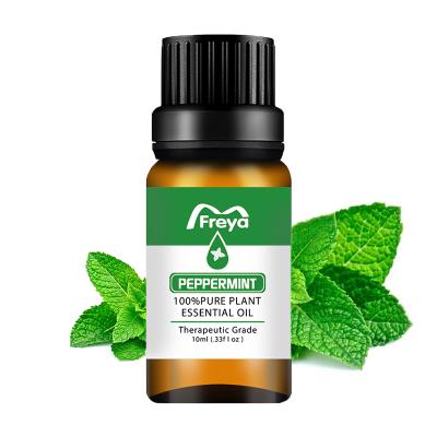 China 100% natural ingredients buy 10ML aromatherapy 100% pure natural peppermint essential oil for sale