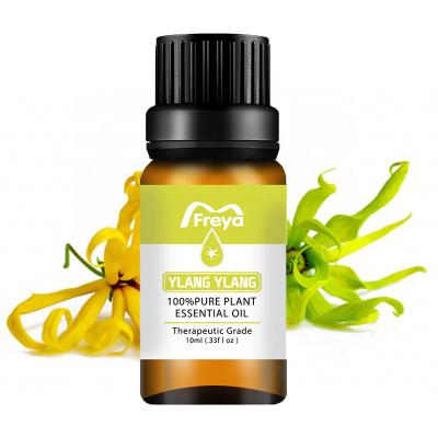 China 100% Essential Oil 10ml Pure Natural Essential Oil 10ml Plant Extraction Ylang Natural Organic Aromatherapy Oil for sale