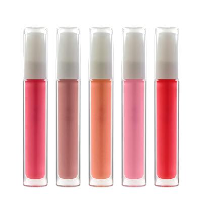 China Waterproof Custom Makeup Private Label Liquid Lipstick Lip Gloss Waterproof Lip Gloss for sale