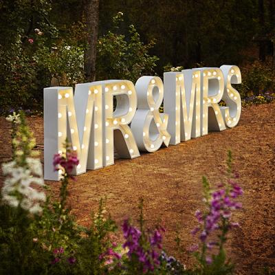 China Vintage Marquee Indoor Outdoor White Classic Letter Lights MR&MRS 40