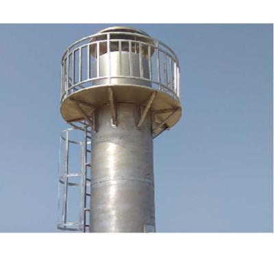 China Fully Automated Biogas Flare Stainless Steel Digester Flare Anaerobic Treatment for sale