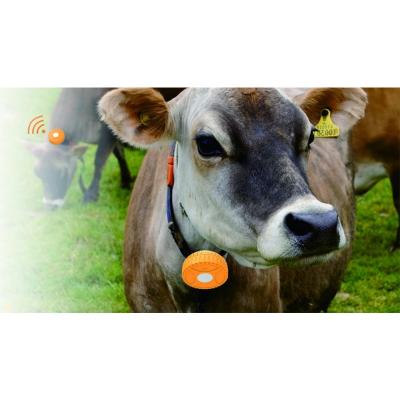 China IP67 Waterproof Real Time High Mini GPS Animal Tracking Tracking For Cows Tracking In Night Mode for sale