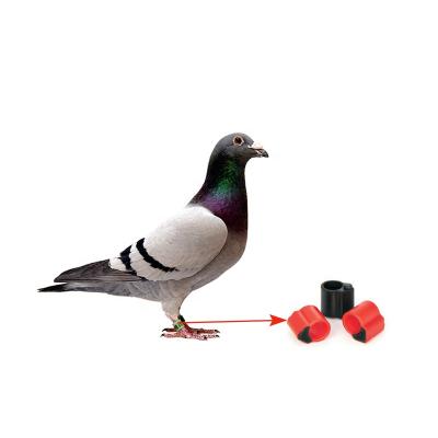 China MINI TAG ABS SI TAG 125Khz or 134.2Khz RFID Tracking Pigeon Ring Chicken Foot Ring Leg Ring for sale