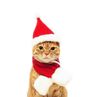 China Custom Funny Cloth Pet Christmas Santa Hats Plush Hat for sale