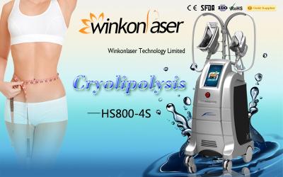 China 0 - de niet Chirurgische Cryolipolysis Machine van 1000Kpa voor de Vette Verwijdering van de Lichaamsvorm Te koop