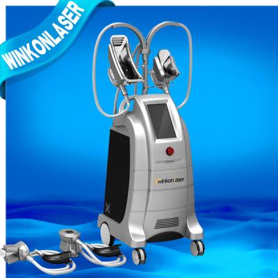 Cina Peso leggero a macchina non chirurgico di Cryolipolysis delle teste di verticale quattro in vendita