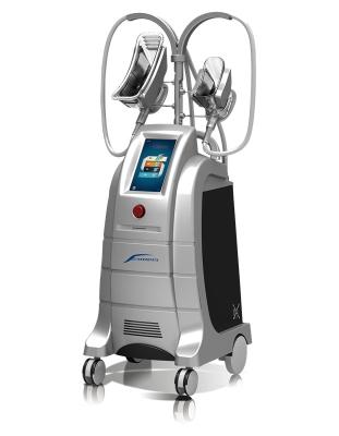 China 4 handles Cryolipolysis Cool Sculpting Slimming and Body shape Machine for sale