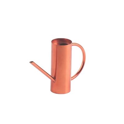 China Modern Metal Stainless Steel Garden Watering Can Small Bonsai Watering Cans for sale