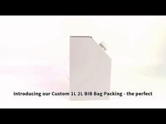 Customized sterile 3L, 5L, 10L, 15L, 20L coffee syrup, fruit juice, water, liquid bib, plastic bag,