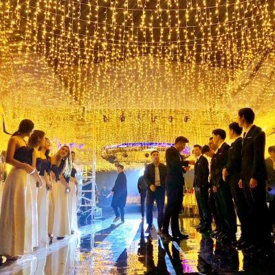 China Event Regular Bright Outdoor Christmas Decorative Lights 600 LED Fairy Icicle Glitter PVC String Lights for Wedding Backdrop Patio Party Garden for sale