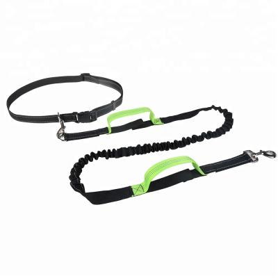 China Custom Viable Free Running Logo Running Elastic Bungee Hand Lead Dog Leash With 2 Handles for sale