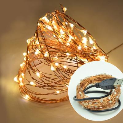 China Outdoor Custom Waterproof USB Copper Wire 10m 100 LED String Lights For Christmas Party Wedding Decoration for sale