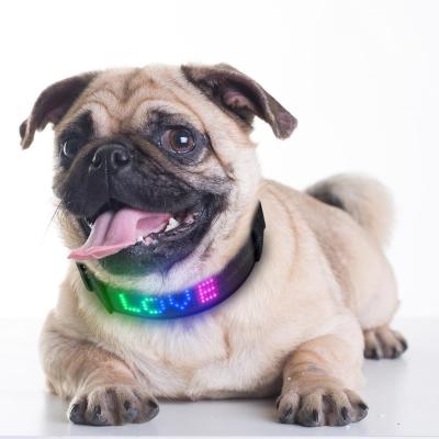 China Lights Blue Collar De Perro Dog APP Control Smart Collar Clip Blue Tooth DIY Customize Led Pet Collar for sale