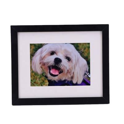 China Eco-friendly Durable Fashionable Plastic Sticky Restickable Gallery Pet Picture Photo Frames for sale