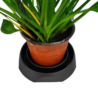 China Modern Durable Sturdy Drip Free Drip Tray For Potted Plant Perfect Sized Humidity Trays For Orchids for sale