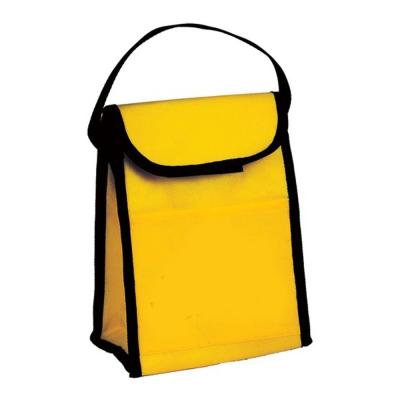 China Waterproof 2021 Customized Non Woven Insulated Cooler Lunch Bag With Closure for sale