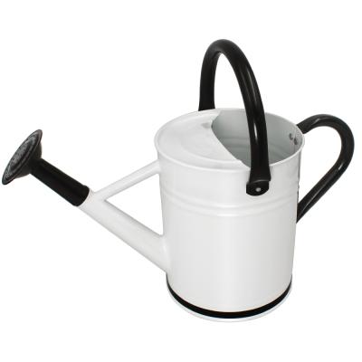 China 2020 Metal Professionals Recommended Product Most Good Return Product White Metal Mini Watering Can for sale