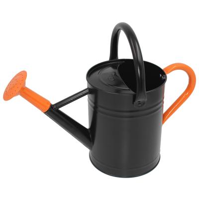 China Cesun Product Reasonable Price Hot Selling Black Metal 1 U.S. Gallon Garden Plant Watering Can for sale