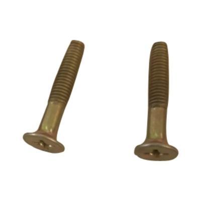 China Modern Stylel M 8*45 Tapping Screw For Shipping Container Plywood Flooring for sale