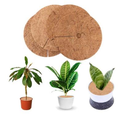 China Eco-Friendly Cocos Coir Mulch Ring Tree Protector Weed Mat / Natural Coir Weed Mat (36cm/14inch) - PK of 10 for sale