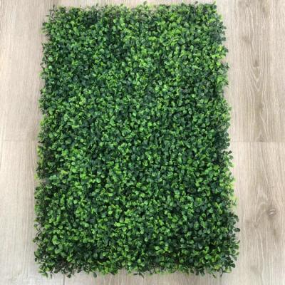 China UV protected; raincoat ; that respects the environment; Easy to clean and so on. Large Size Garden Fence Backyard Home Decor Greenery Walls Artificial Boxwood Panels for sale