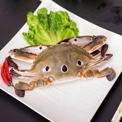 China FROZEN high protein fresh sea frozen swimming crab for sale