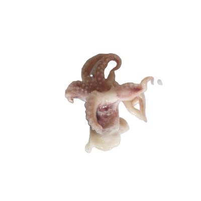 China Nutritious Frozen Cook Skin On Squid Head Tentacle With Competitive Price for sale