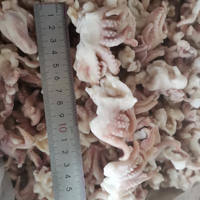 China Good quality squid jelly head of nutritious squid tentacles for sale