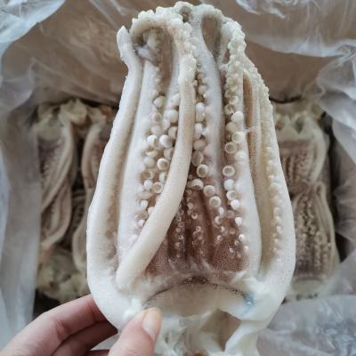 China IQF Giant Squid Nutritious Frozen Tentacles For Sale for sale