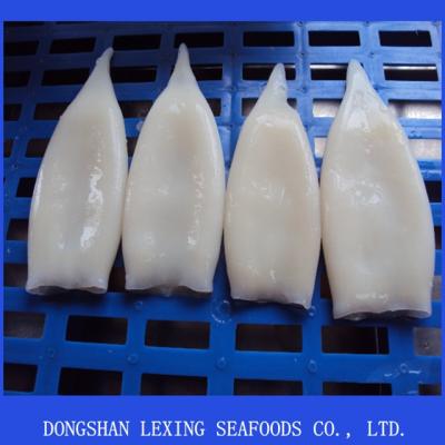 China Tordarodes and tube FROZEN U10, U7, U5 of Argentina squid for sale