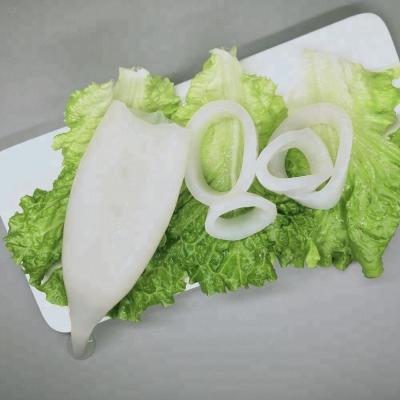 China Best FROZEN Seafood Squid Fresh Frozen Tube for sale