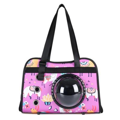 China 2021 Most Popular Easy To Carry Cat Bag Comfortable Pet Carrier Bag for sale