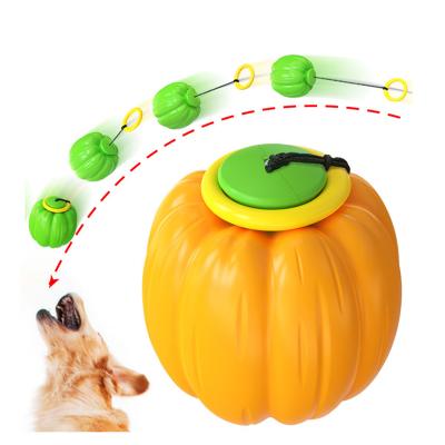 China Toy Ball Grinding Teeth Resistant Chew Ball Daily Hand Pumpkin Dogs Toys Yo-Yo Throwing Elastic Ball for sale