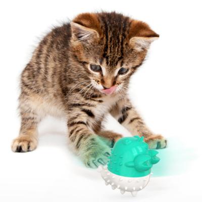 China Daily Toys Wholesale Electric Pet Cat Toy Toobrush Cat Interactive Toys Factory for sale