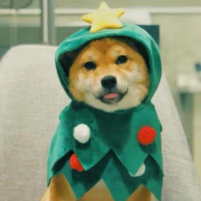 China Hot Sale Green Pet Christmas Tree Costume Dog Cat Winter Cosplay Hat For Dogs Cats Dogs for sale