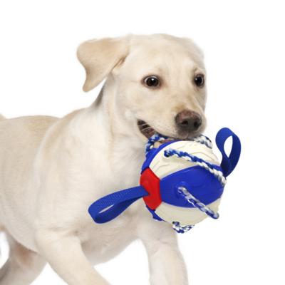 China Daily Toys With Cotton Rope Amazon Hot Rise Fun Toy Dog Training Ball For Durable Interactive Pet for sale