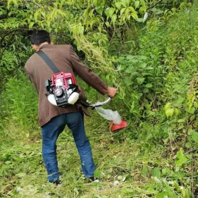 China 4-Stroke good quality 4 stroke motor brush cutter grass trimmer with honda gx35 engine with CE certificate for sale